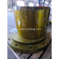 Hp300 Cone Craser Eccentruc phụ tùng